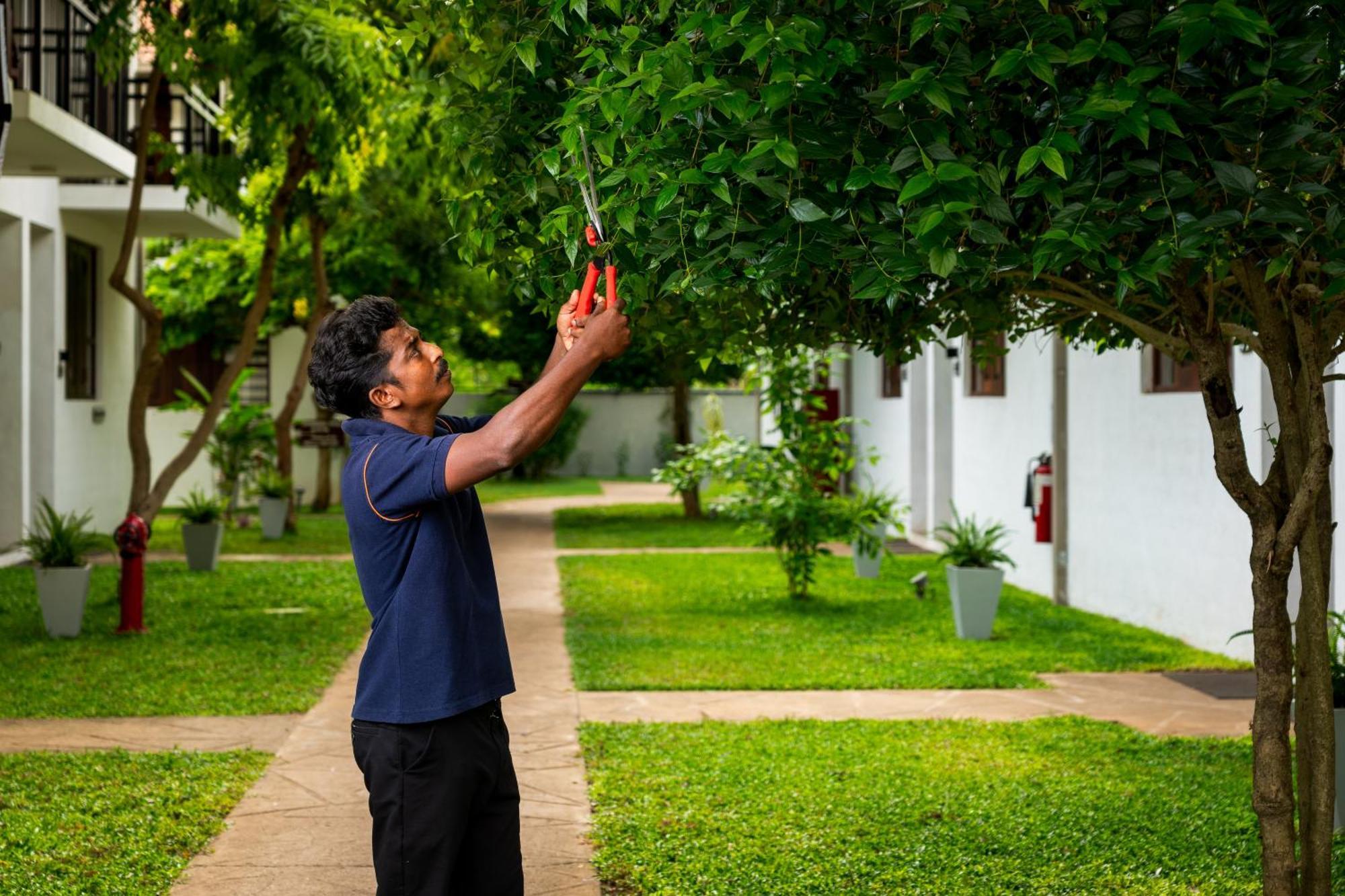 The Thinnai - All-Suites Boutique Hotel Jaffna Exterior photo